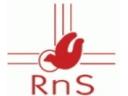Adorazione eucaristica del RnS